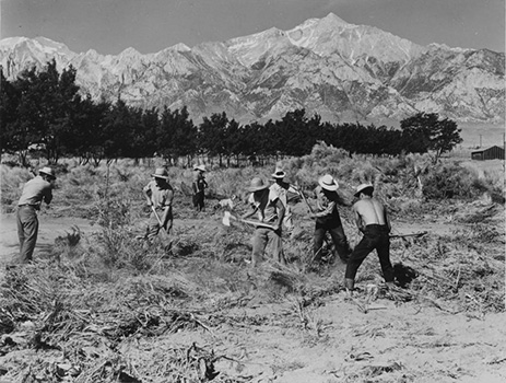 manzanar